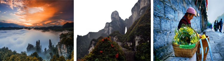 張家界跟團(tuán)游,張家界自由行,張家界自駕游,張家界中國(guó)國(guó)際旅行社有限公司